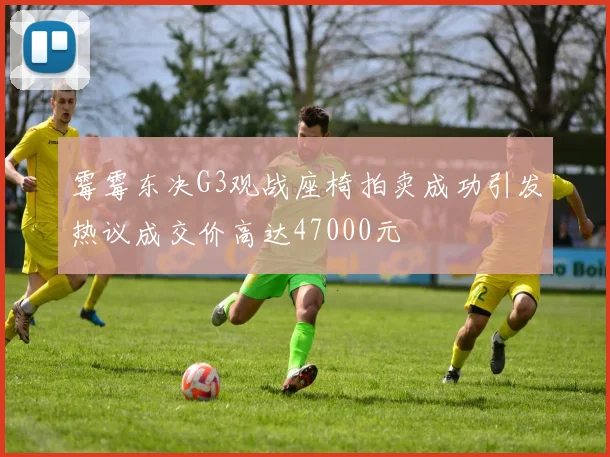 霉霉东决G3观战座椅拍卖成功引发热议成交价高达47000元